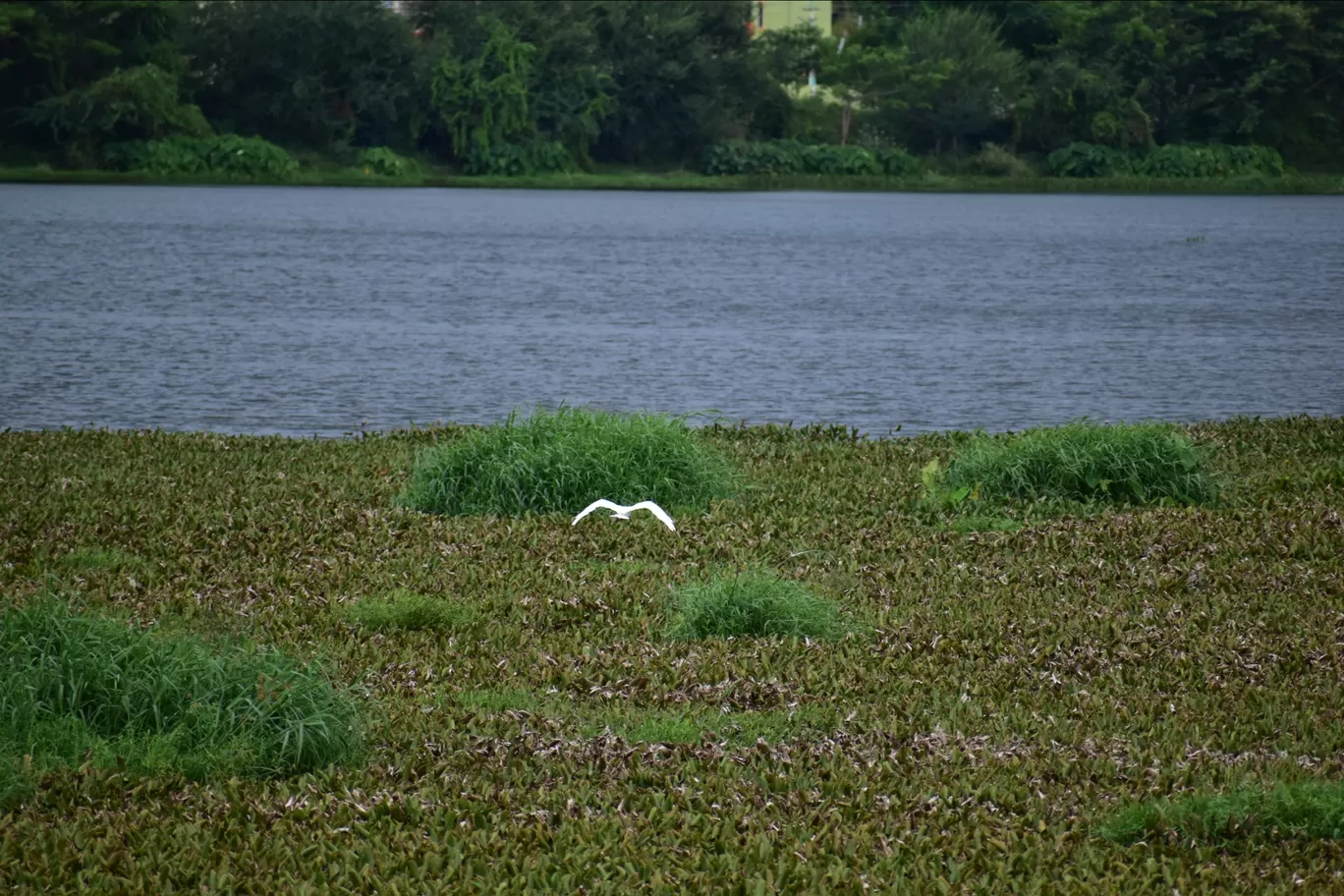 Photo of Bengaluru By Rajath Bharadwaj