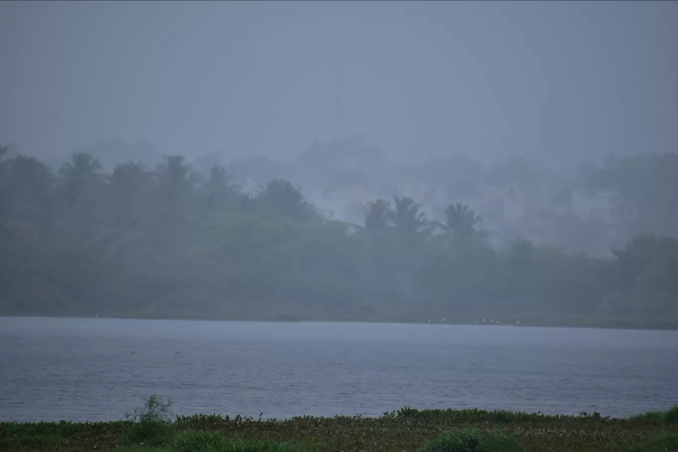 Photo of Bengaluru By Rajath Bharadwaj