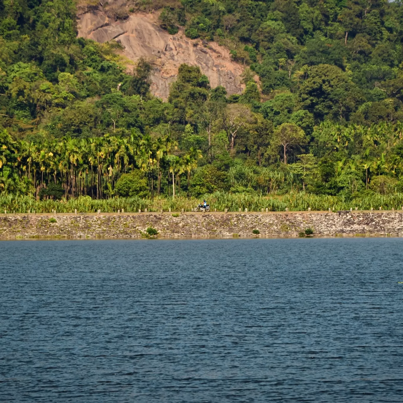 Photo of Kodachadri By Rajath Bharadwaj