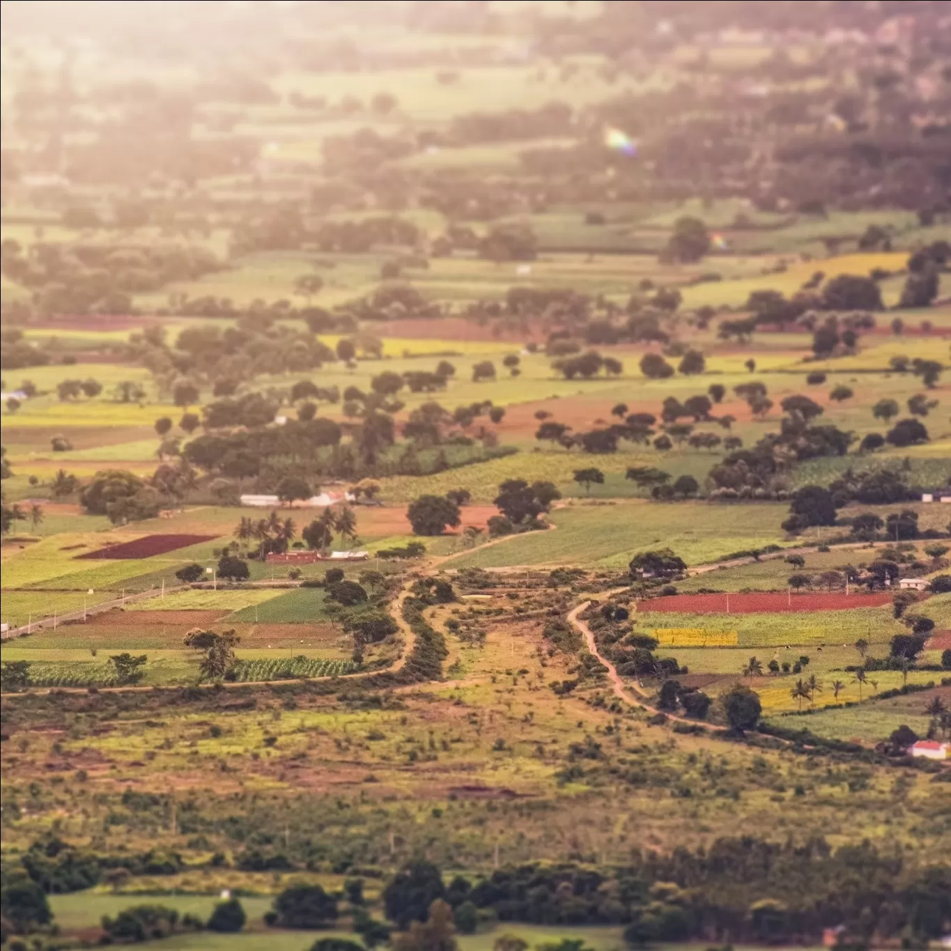 Photo of Kodachadri By Rajath Bharadwaj
