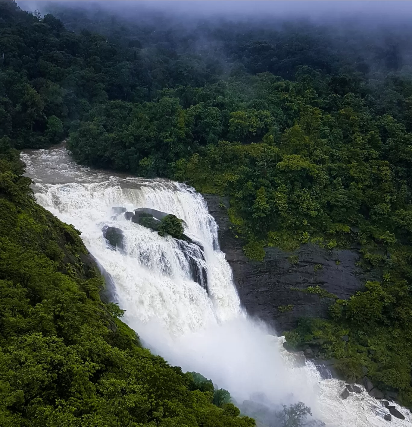 Photo of Kodachadri By Rajath Bharadwaj