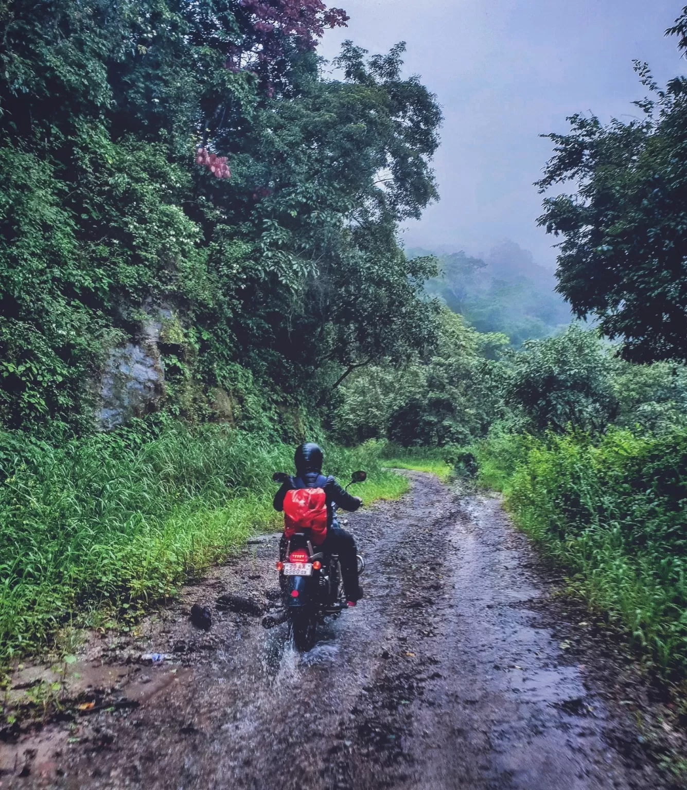 Photo of Kodachadri By Rajath Bharadwaj