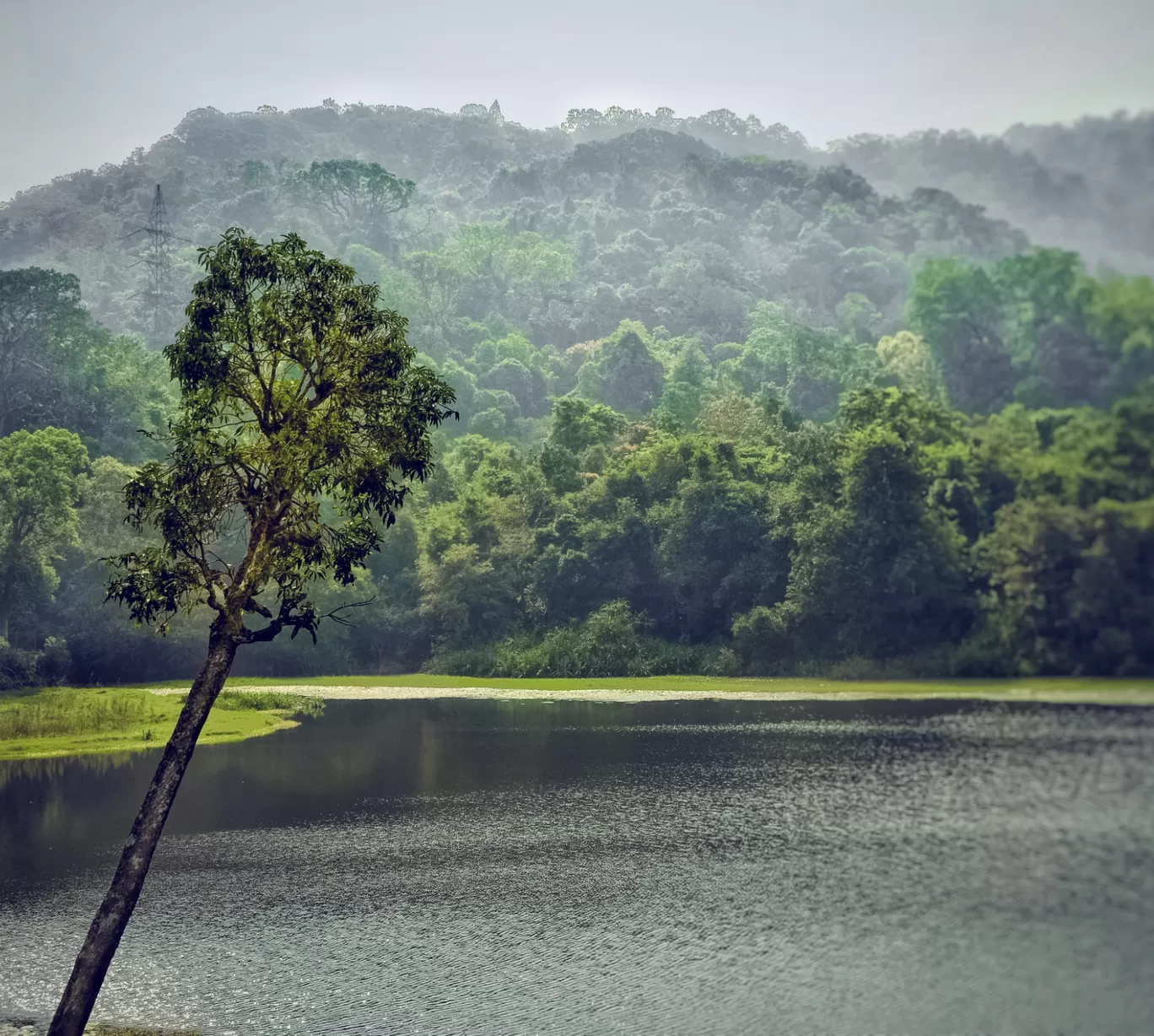Photo of Kodachadri By Rajath Bharadwaj