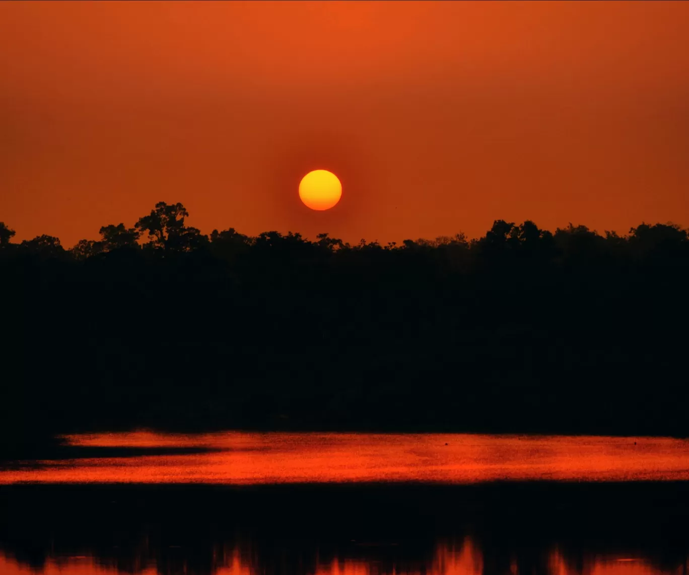 Photo of Kodachadri By Rajath Bharadwaj