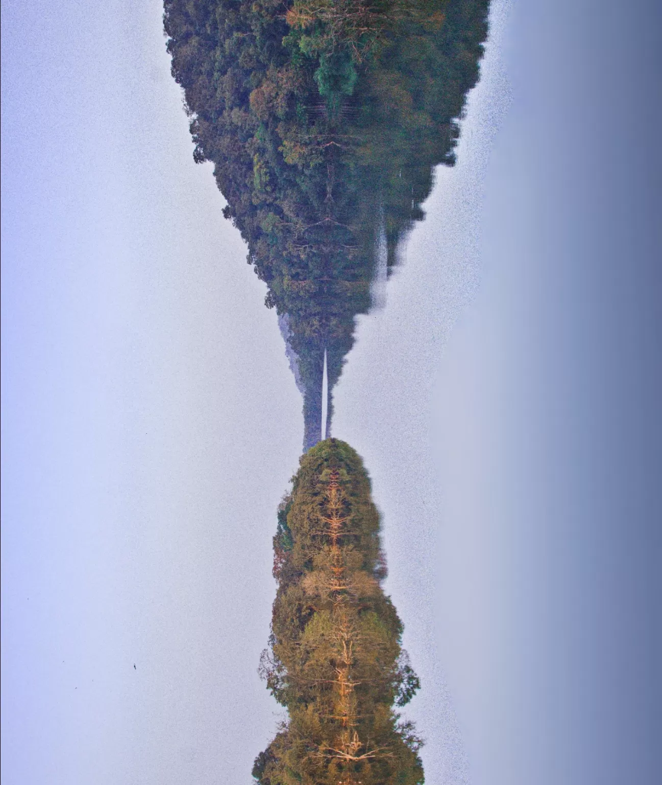 Photo of Kodachadri By Rajath Bharadwaj
