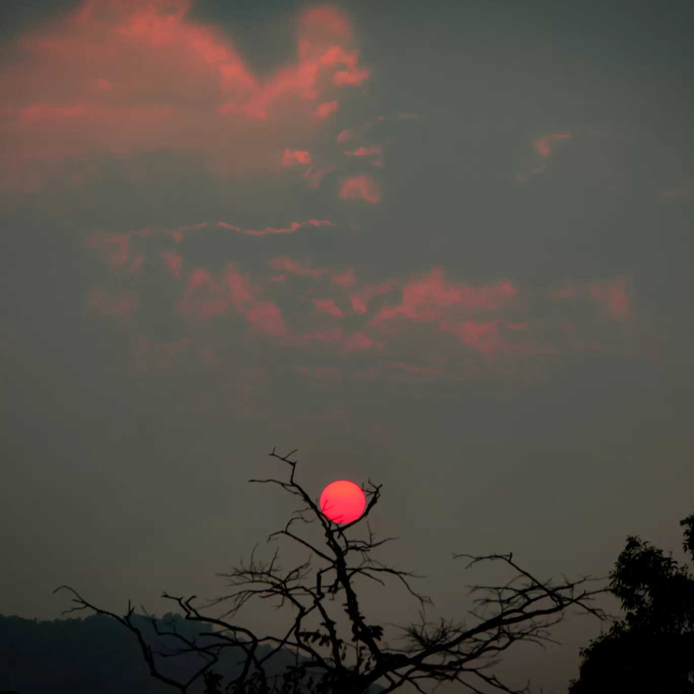 Photo of Kodachadri By Rajath Bharadwaj