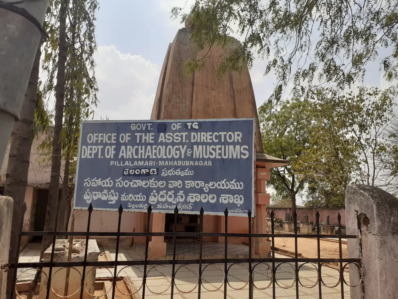 Photo of Pillala Marri Giant Banyan Tree By Dileep Kumar