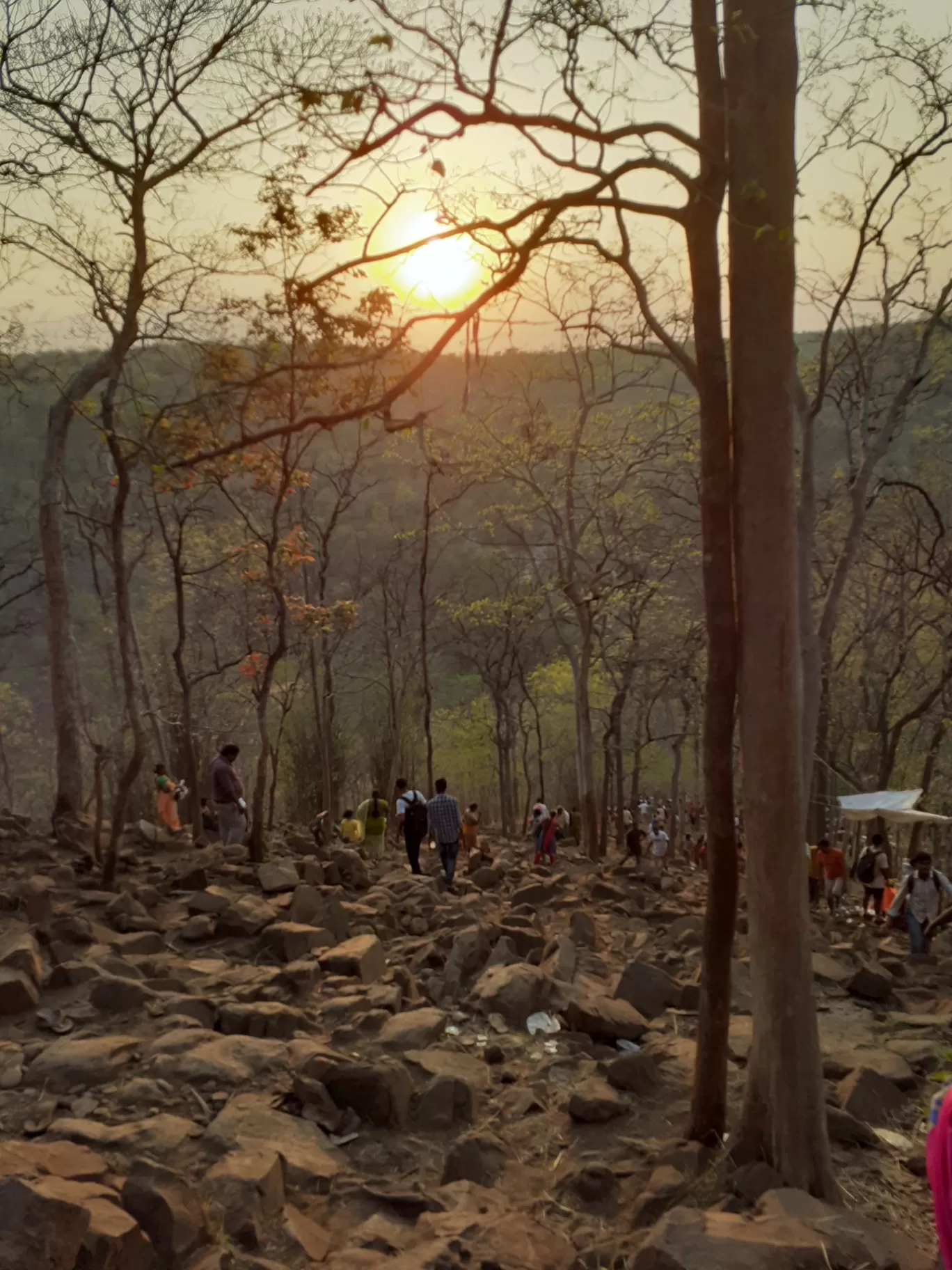 Photo of Nallamala Forest By Dileep Kumar