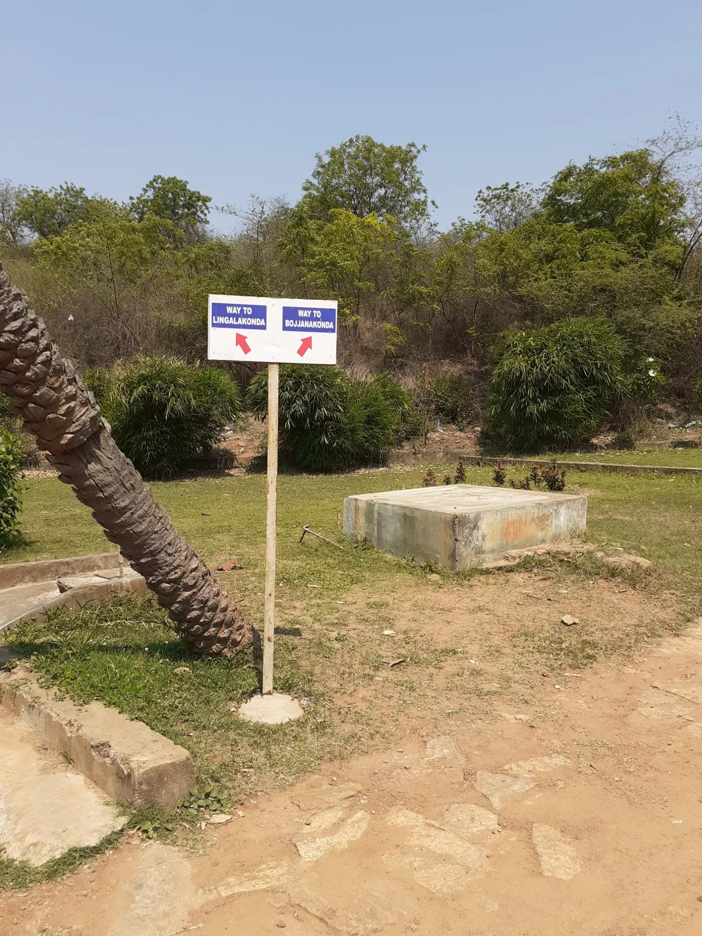 Photo of Lingala Konda By Dileep Kumar