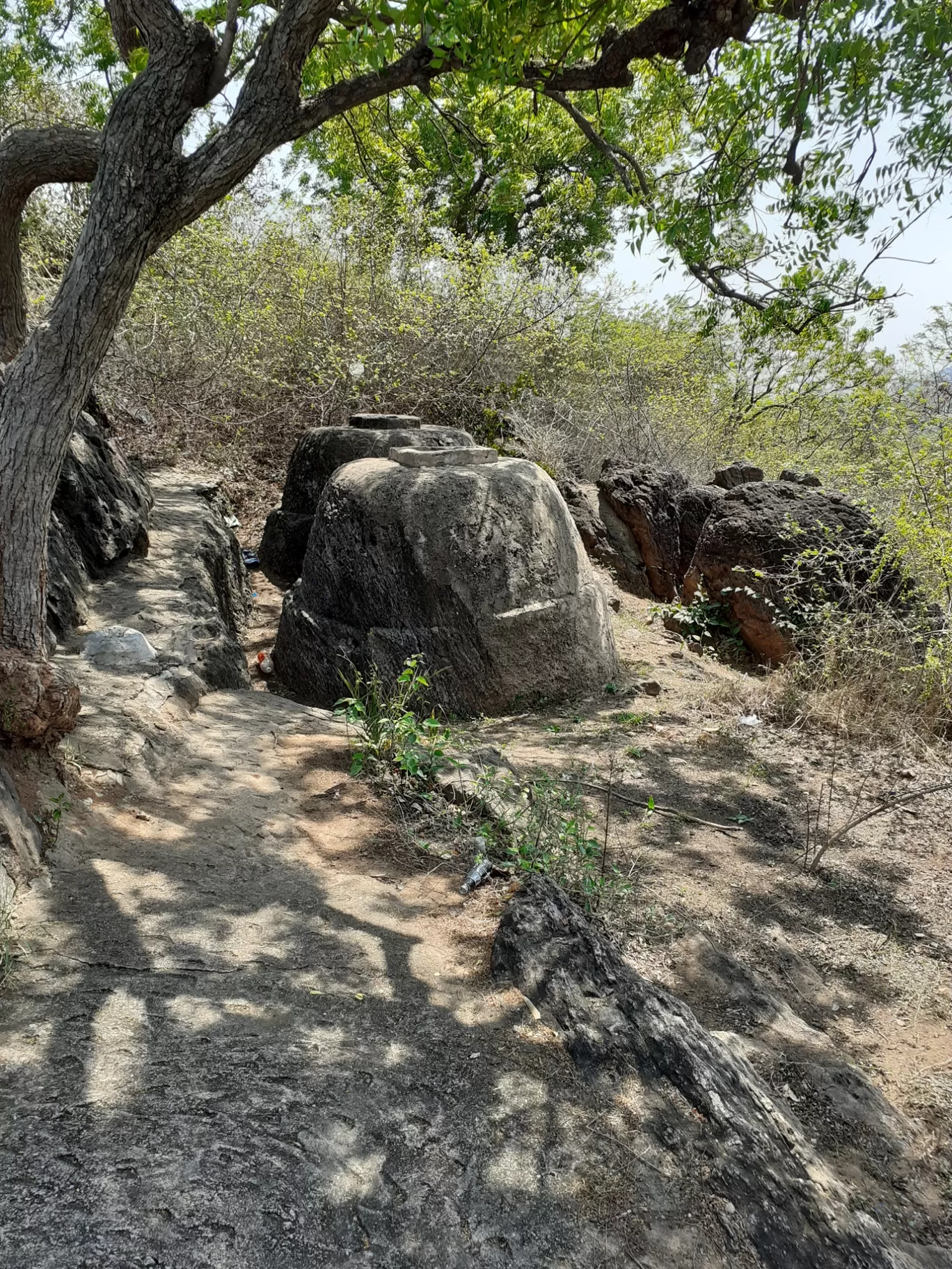 Photo of Lingala Konda By Dileep Kumar