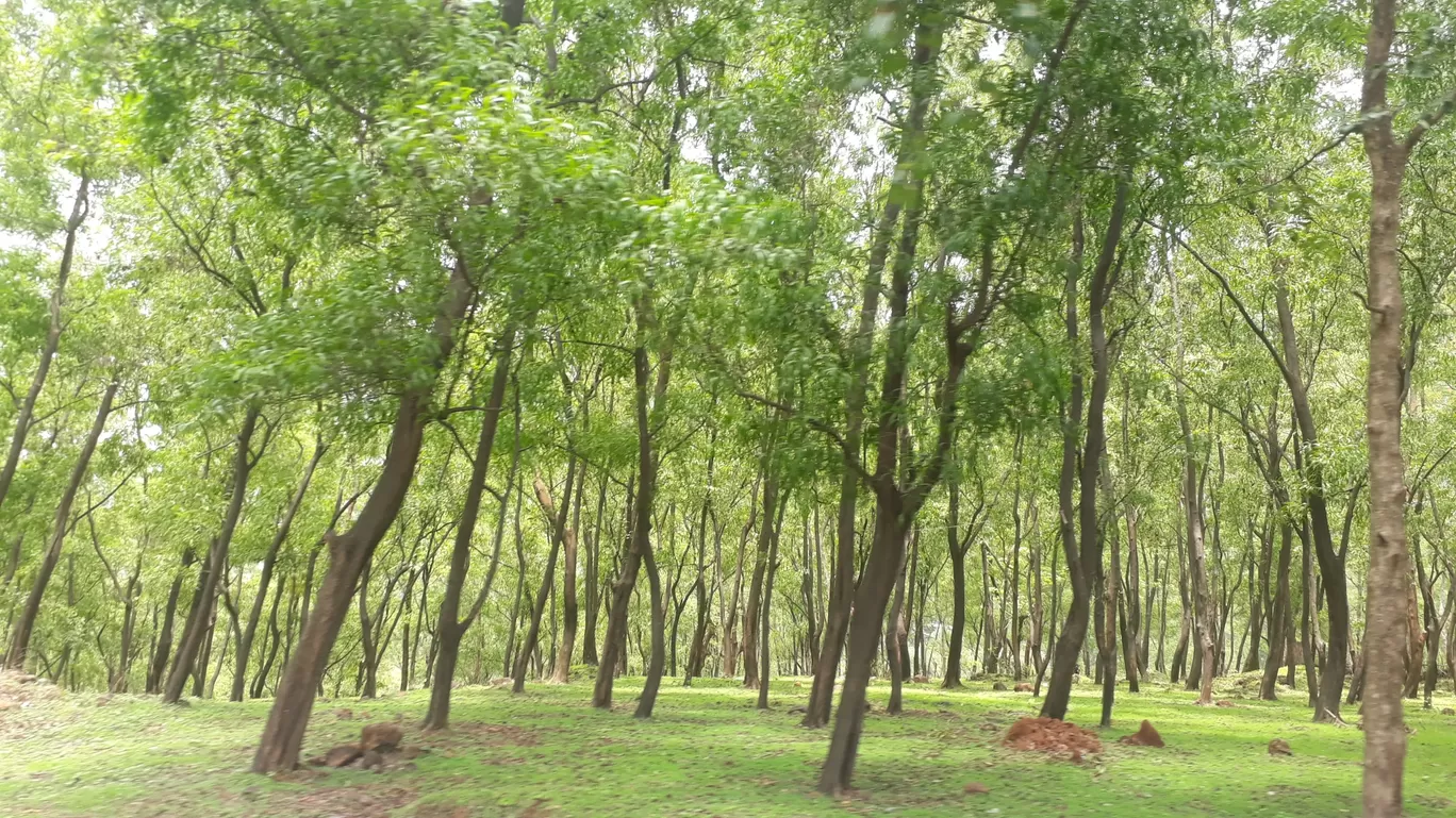 Photo of Matheran Hills By Dileep Kumar