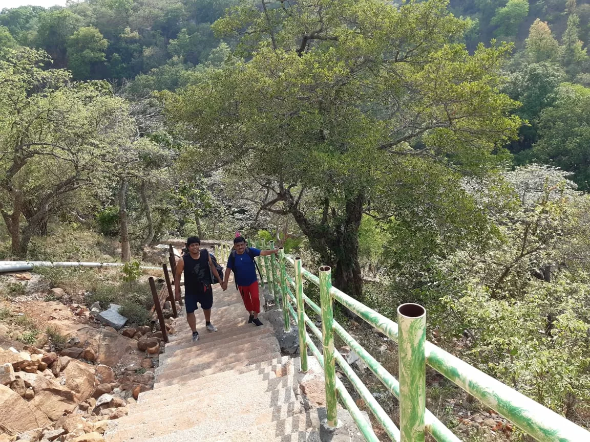 Photo of Nallamala Forest By Dileep Kumar