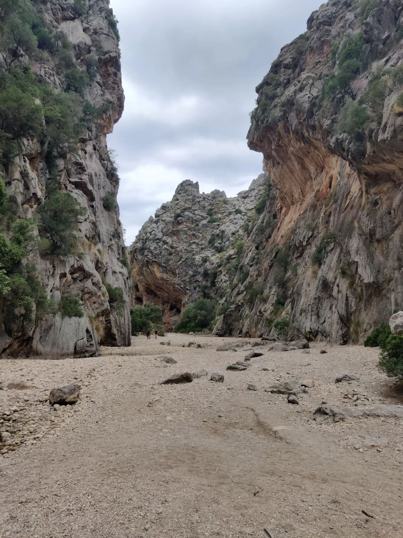 Photo of Sa Calobra By Sujita Wagh