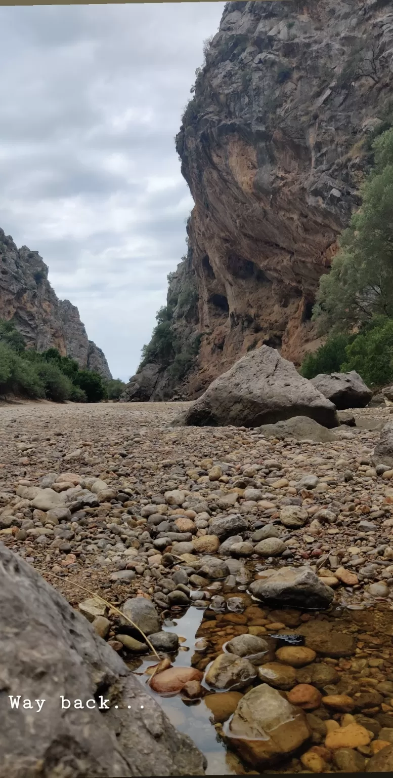 Photo of Sa Calobra By Sujita Wagh