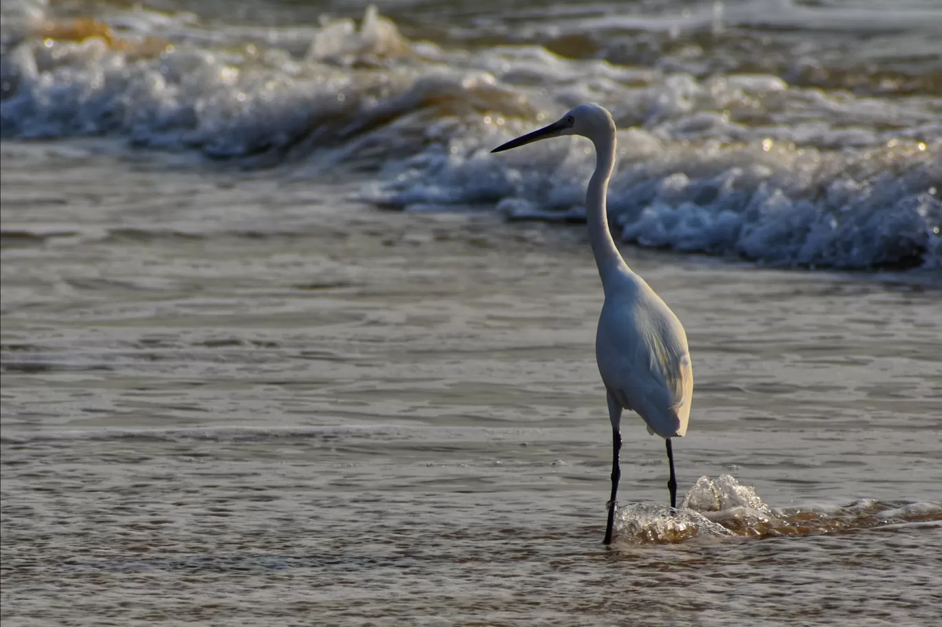 Photo of Kundapura By Ranjith Rao