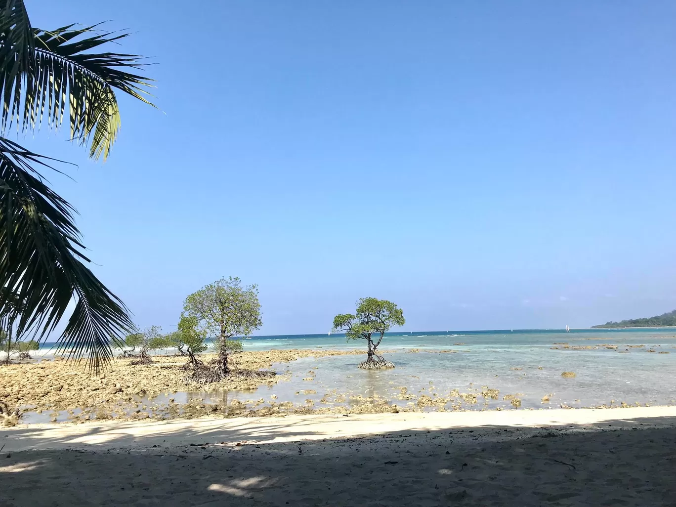 Photo of Andaman and Nicobar Islands By Divyangna (Nomadic_Missy)