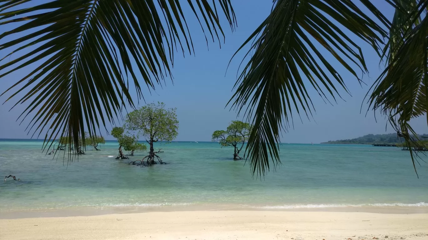 Photo of Andaman and Nicobar Islands By Divyangna (Nomadic_Missy)