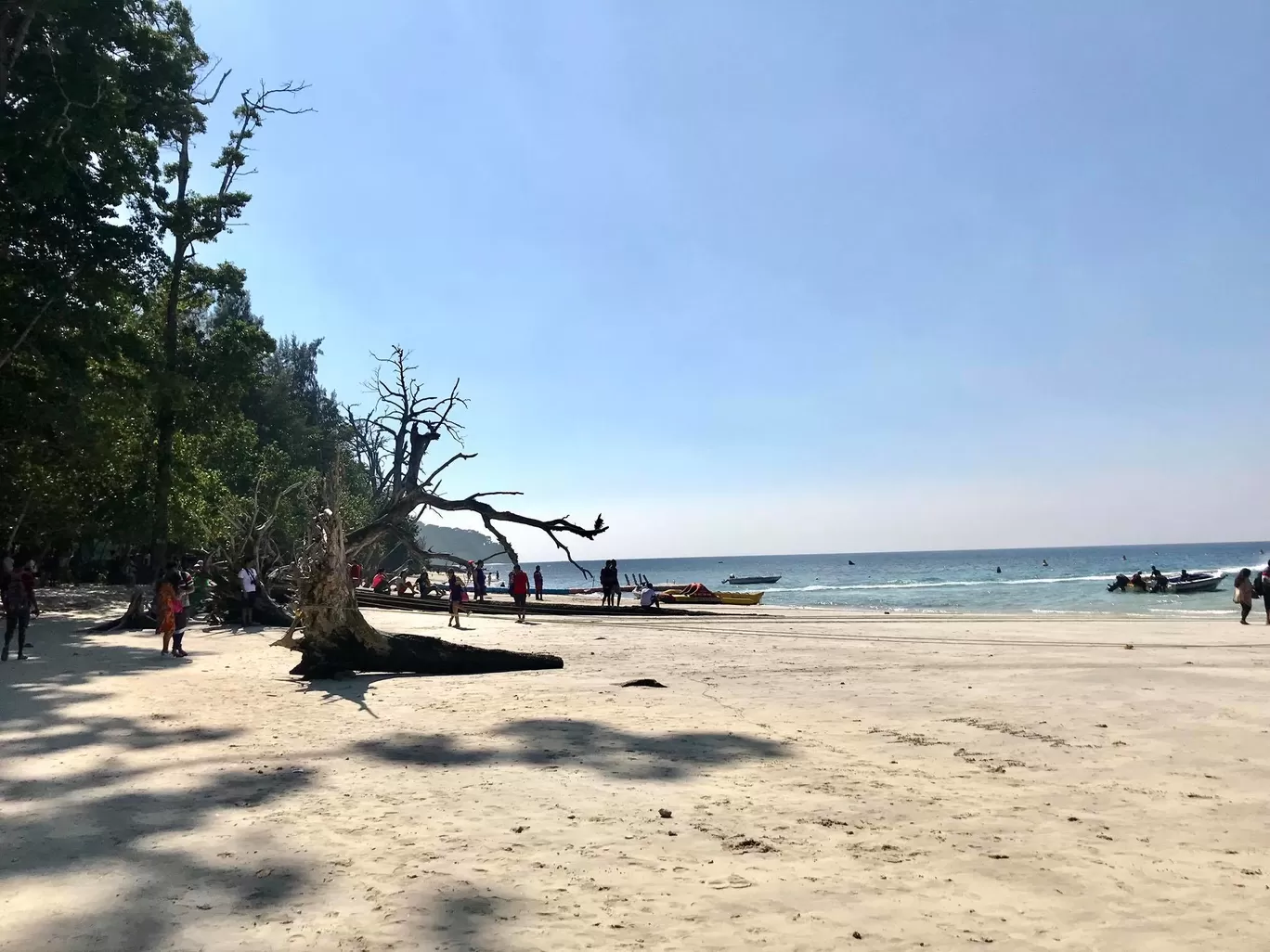 Photo of Andaman and Nicobar Islands By Divyangna (Nomadic_Missy)