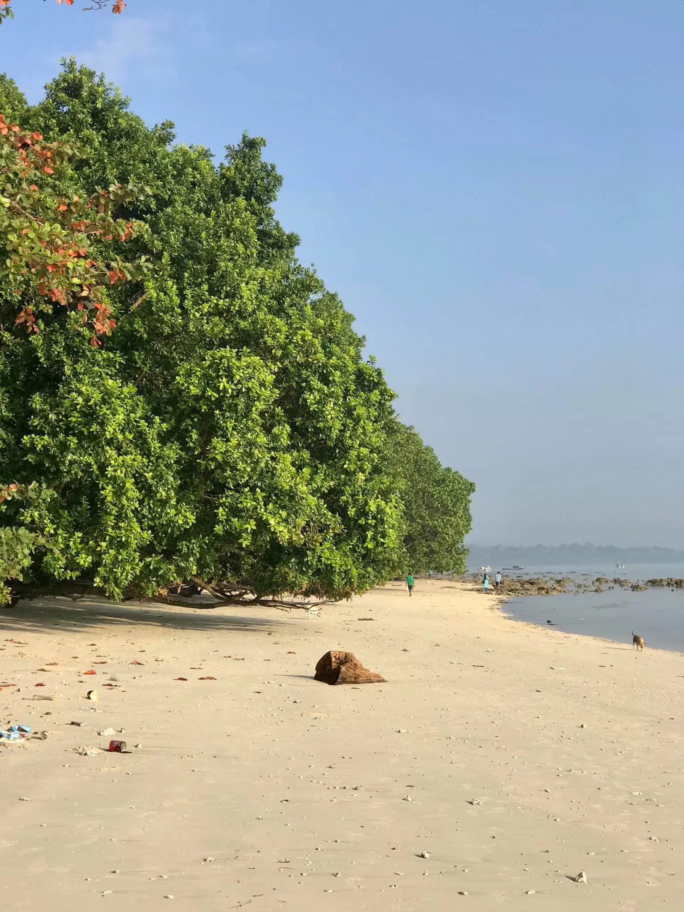 Photo of Andaman and Nicobar Islands By Divyangna (Nomadic_Missy)
