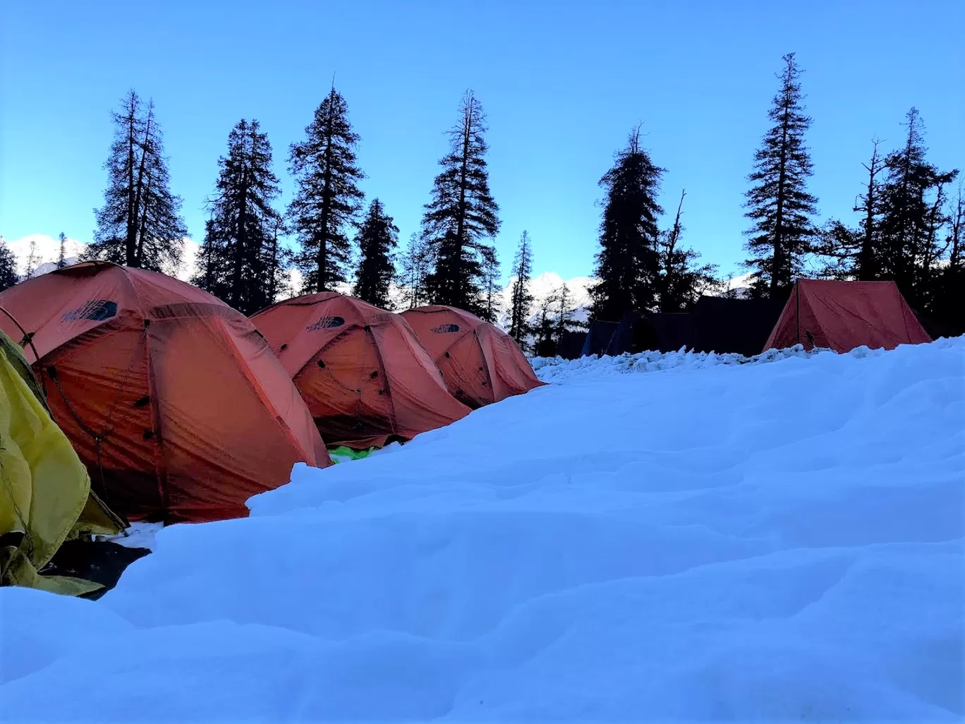 Photo of Kedarkantha Base Camp By Divyangna (Nomadic_Missy)