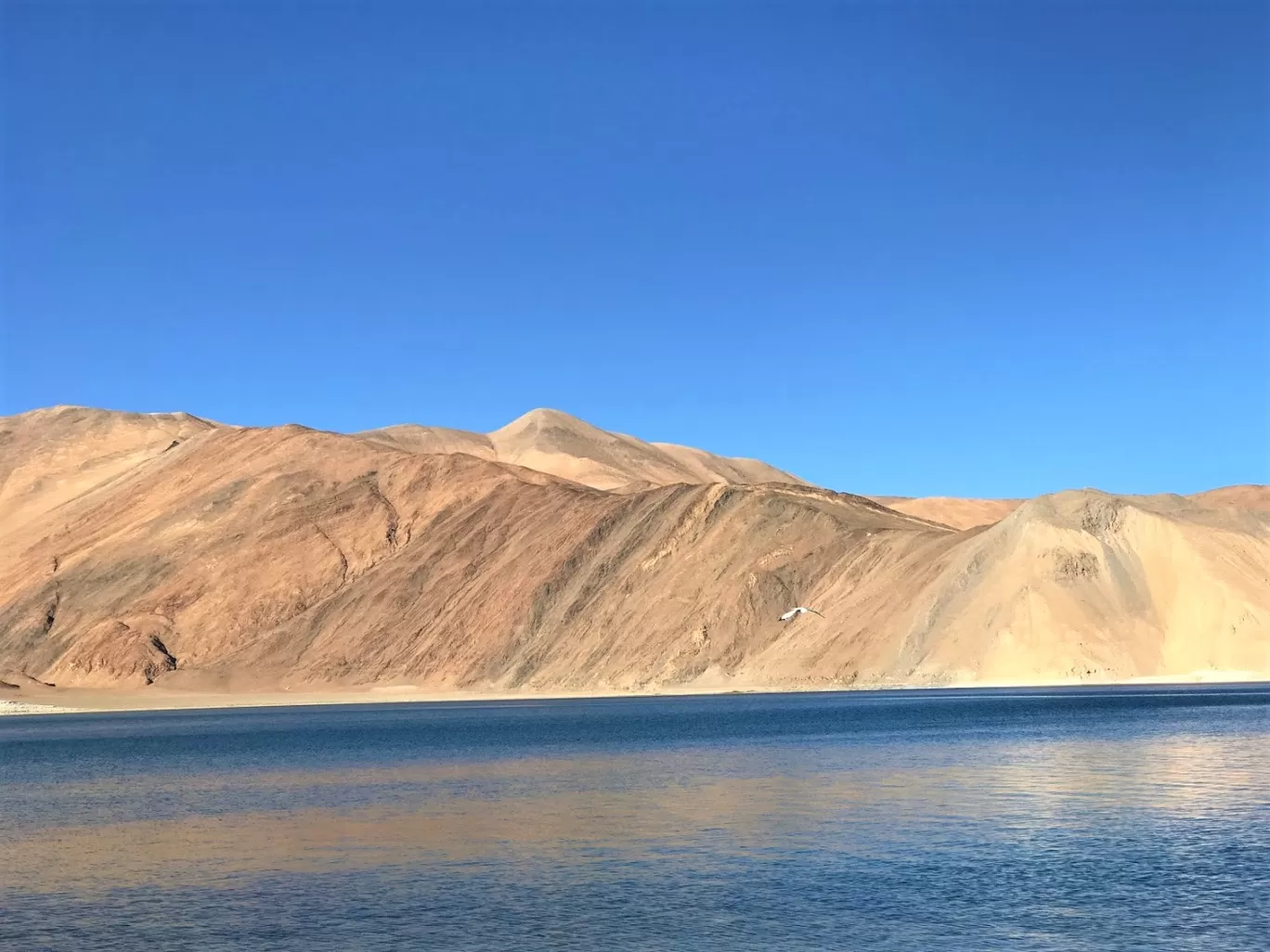 Photo of Ladakh By Divyangna (Nomadic_Missy)