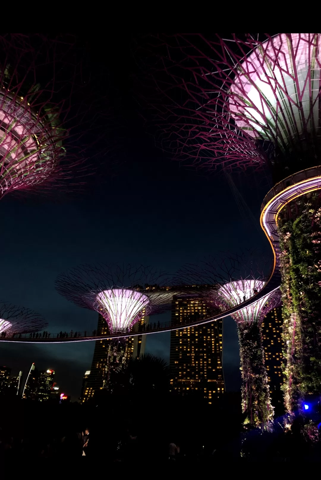 Photo of Singapore By Divyangna (Nomadic_Missy)