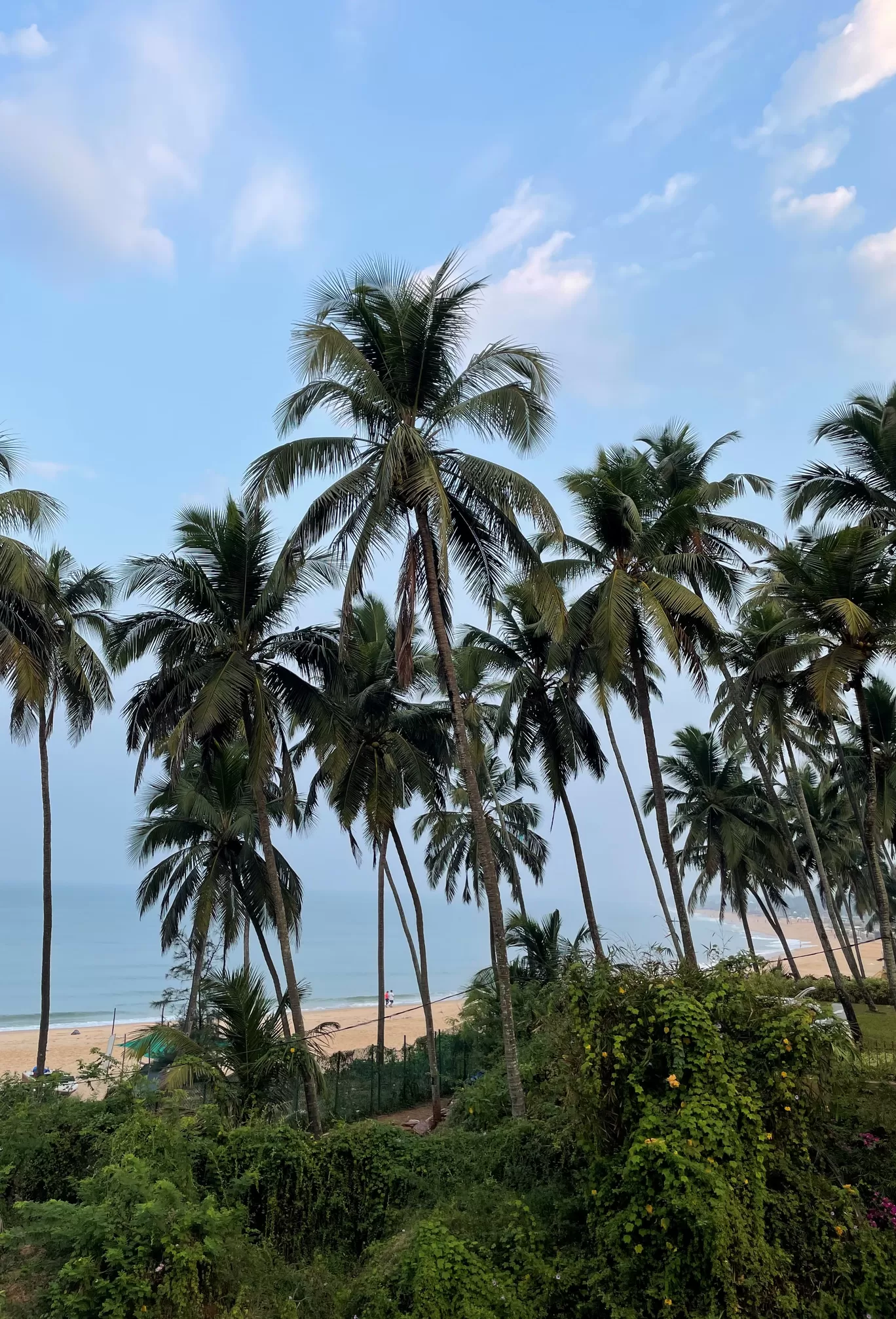 Photo of Goa By Divyangna (Nomadic_Missy)