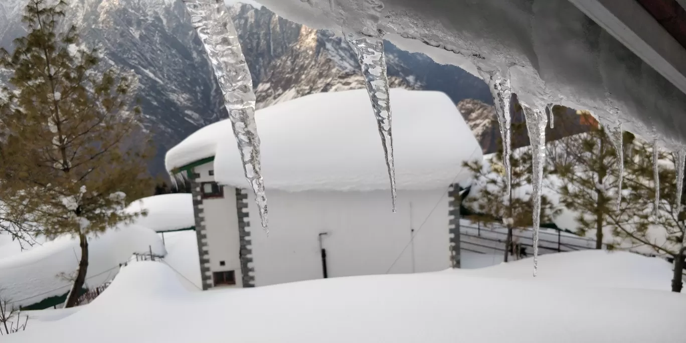 Photo of Auli By Rishabh Arora