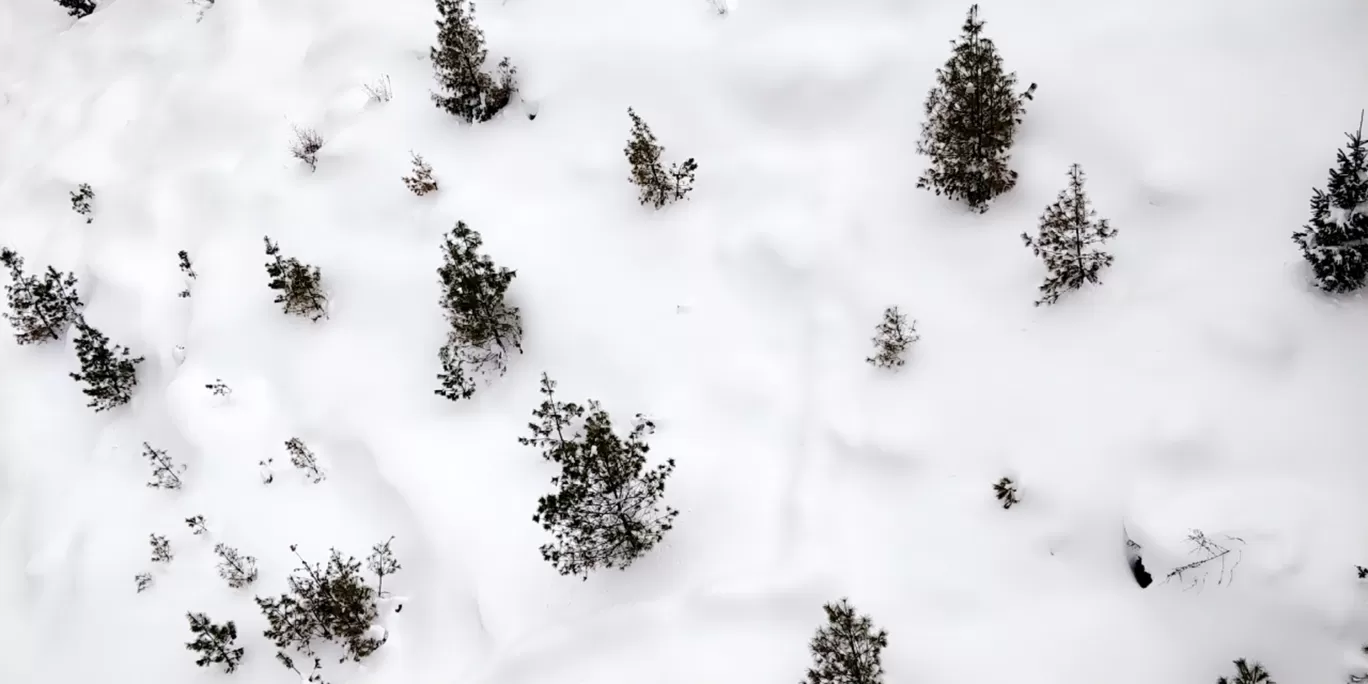 Photo of Auli By Rishabh Arora