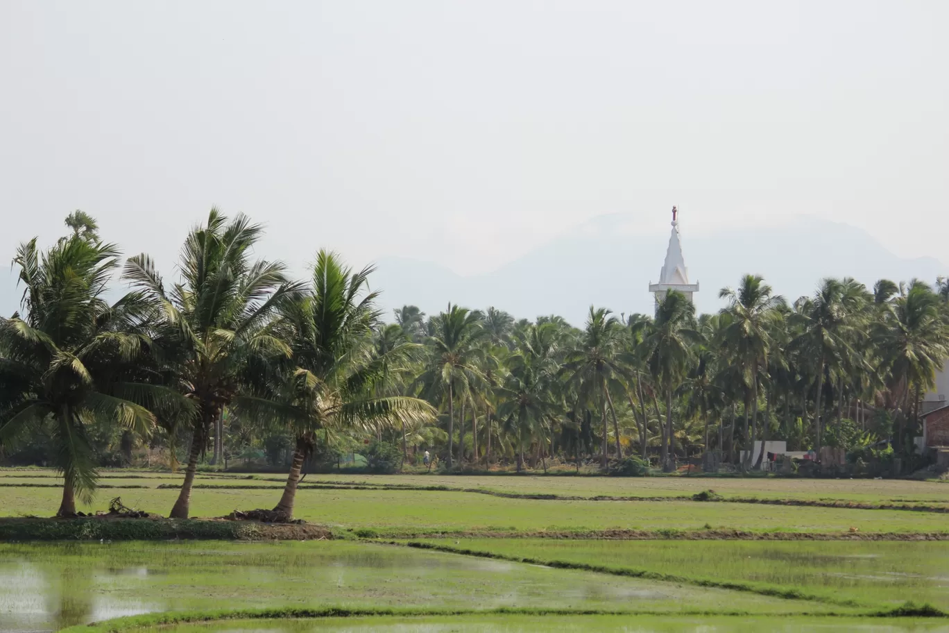 Photo of Kovalam By The Churchills'