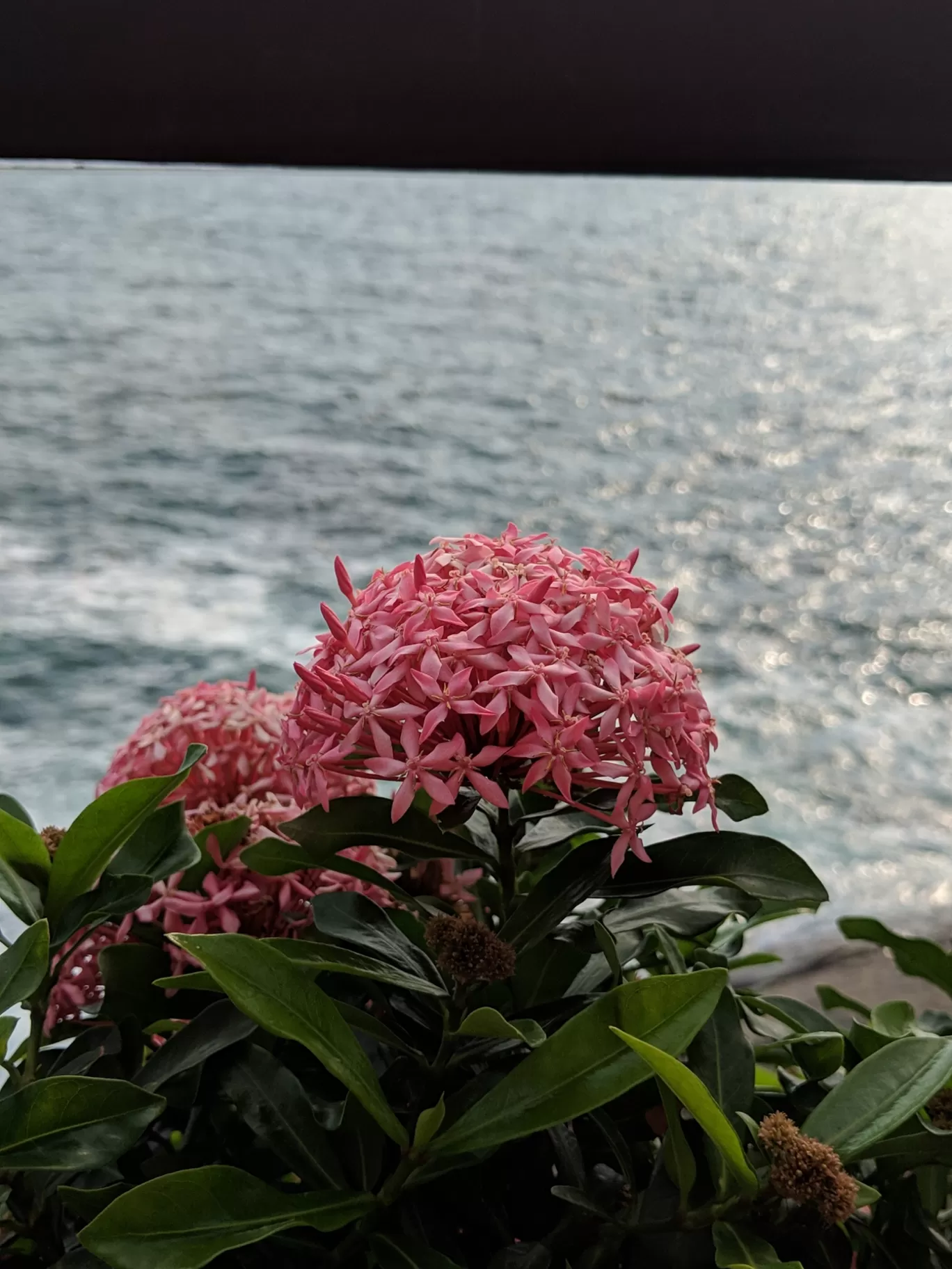 Photo of Kovalam By The Churchills'