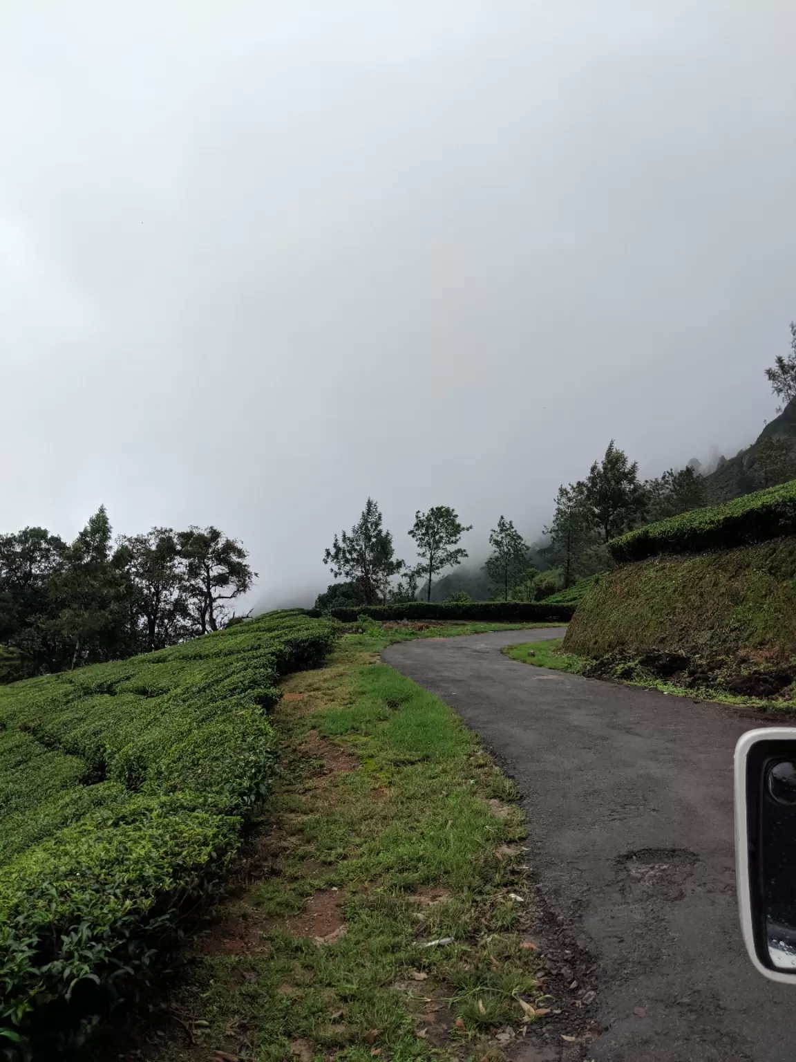 Photo of Munnar By The Churchills'