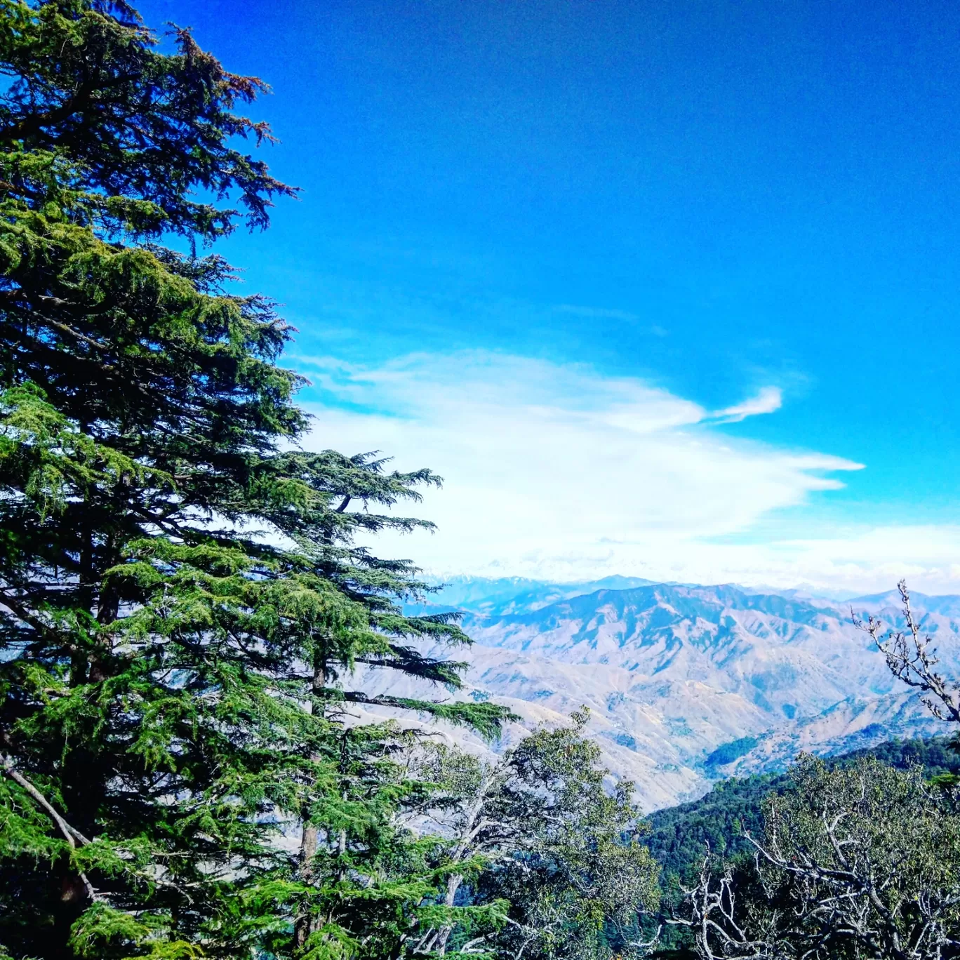 Photo of Chakrata By Manish Thakur