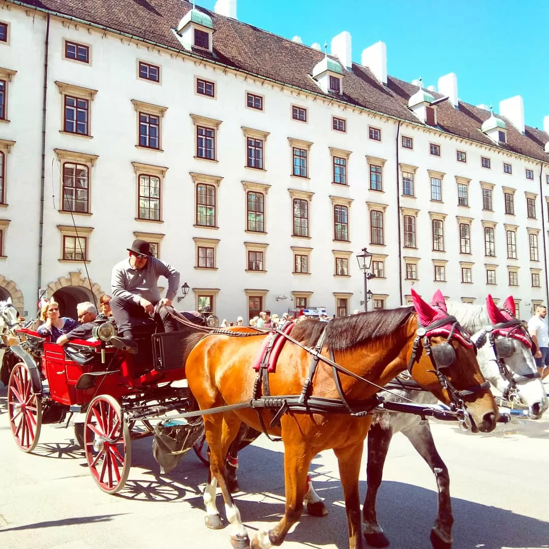 Photo of Vienna By Manish Thakur