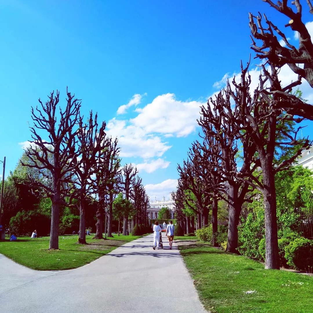 Photo of Vienna By Manish Thakur