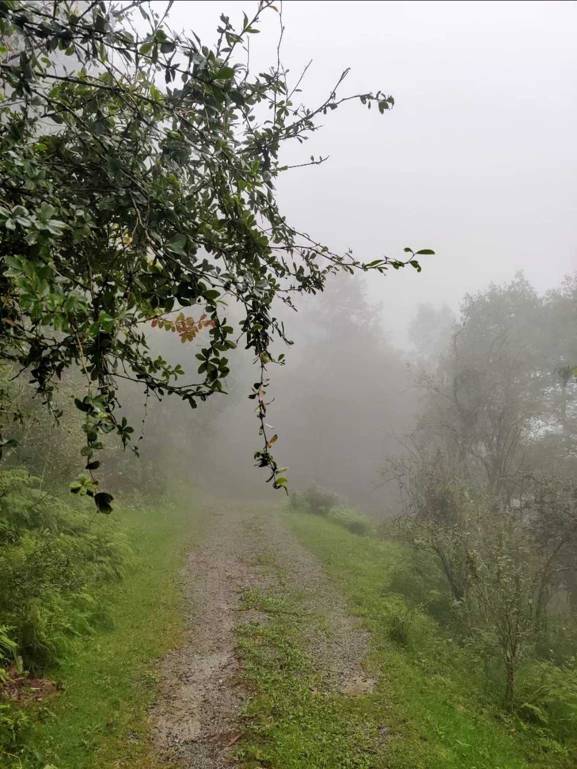 Photo of Landour By Manish Thakur