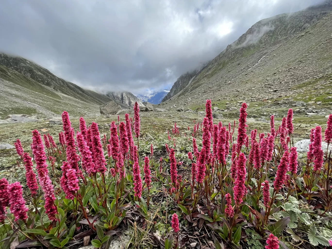 Photo of Hamta Pass By Sagar | TRAVELOSAGA