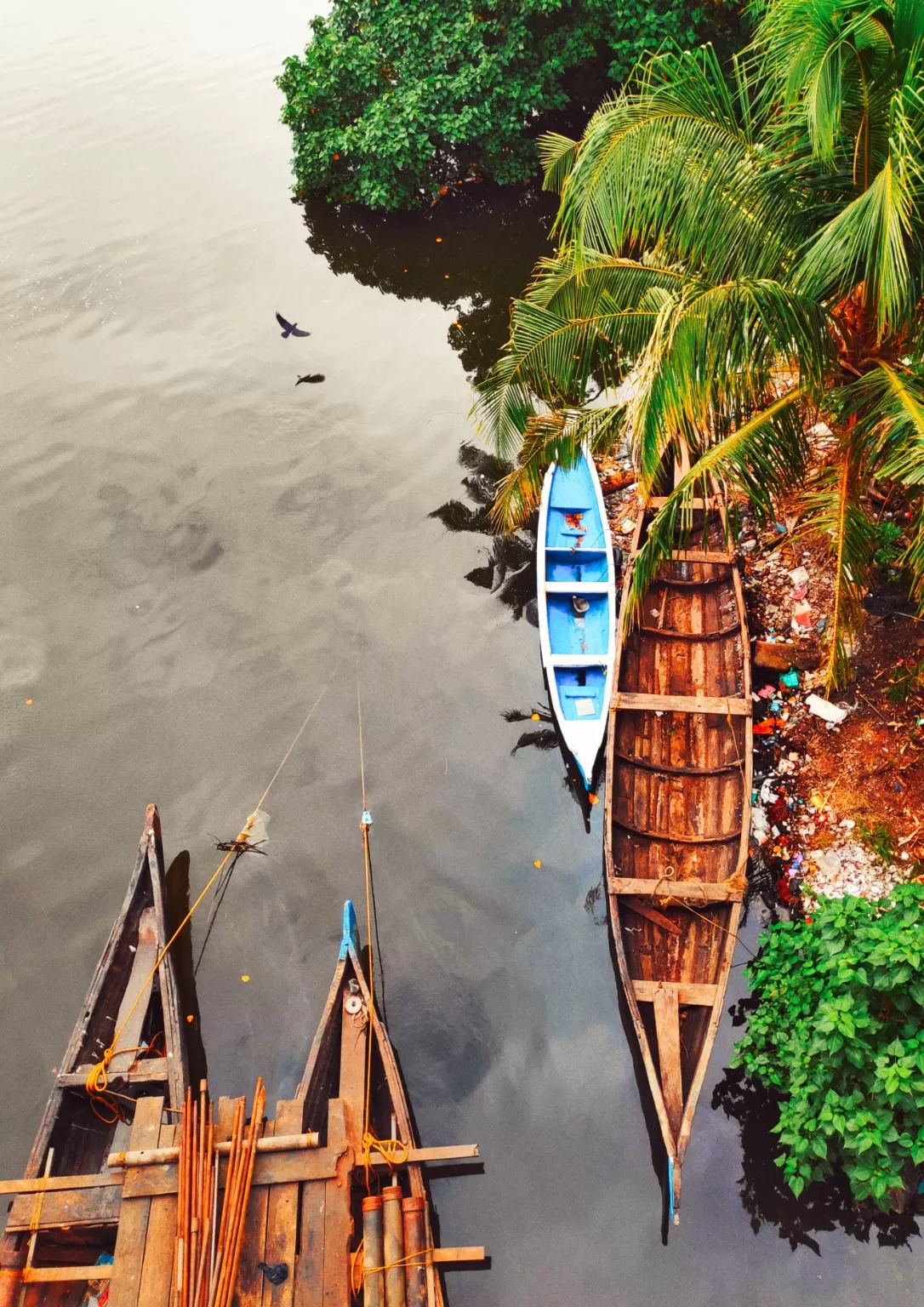 Photo of Ashtamudi Lake By K Chandana