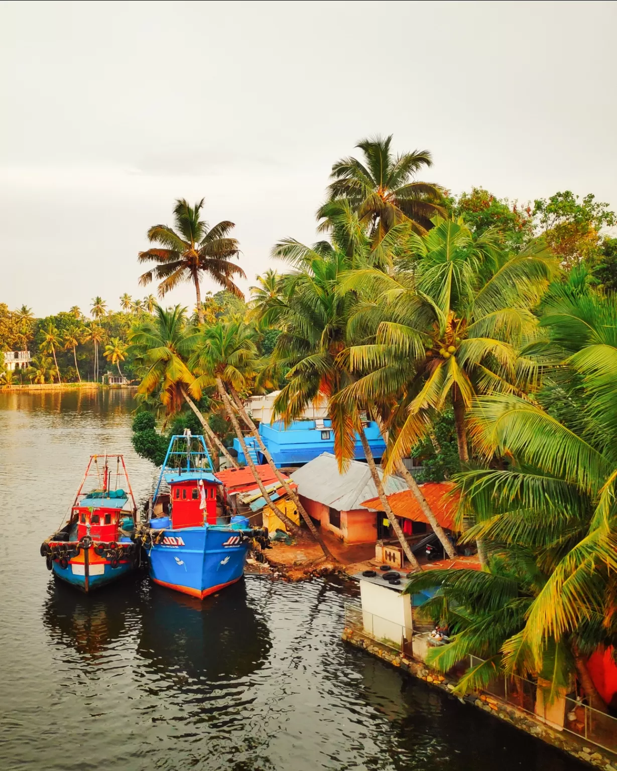 Photo of Ashtamudi Lake By K Chandana