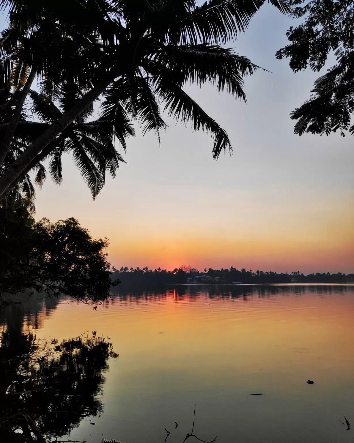 Photo of Ashtamudi Lake By K Chandana