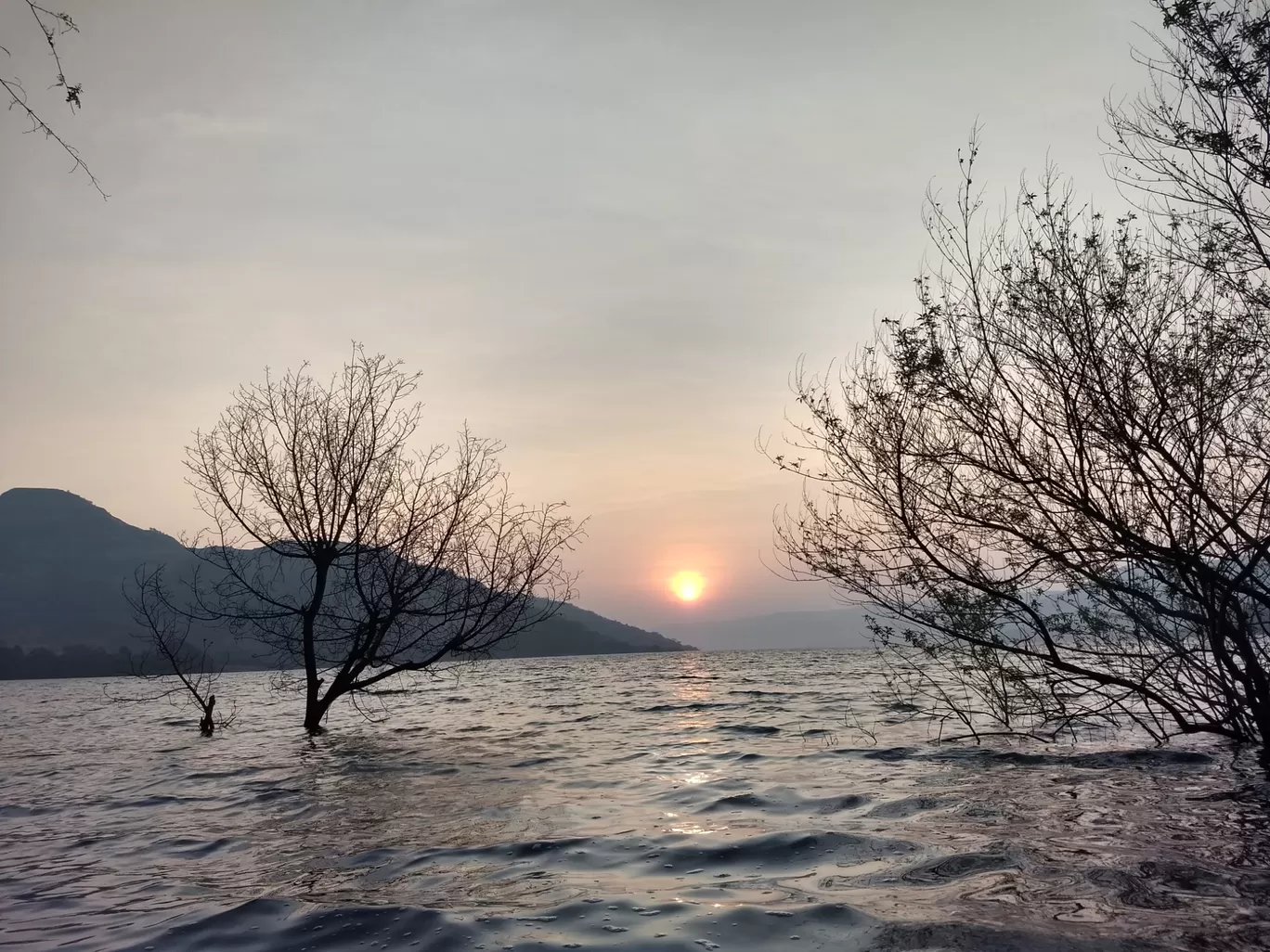 Photo of Shirota Lake Camp By Saurabh Goyal