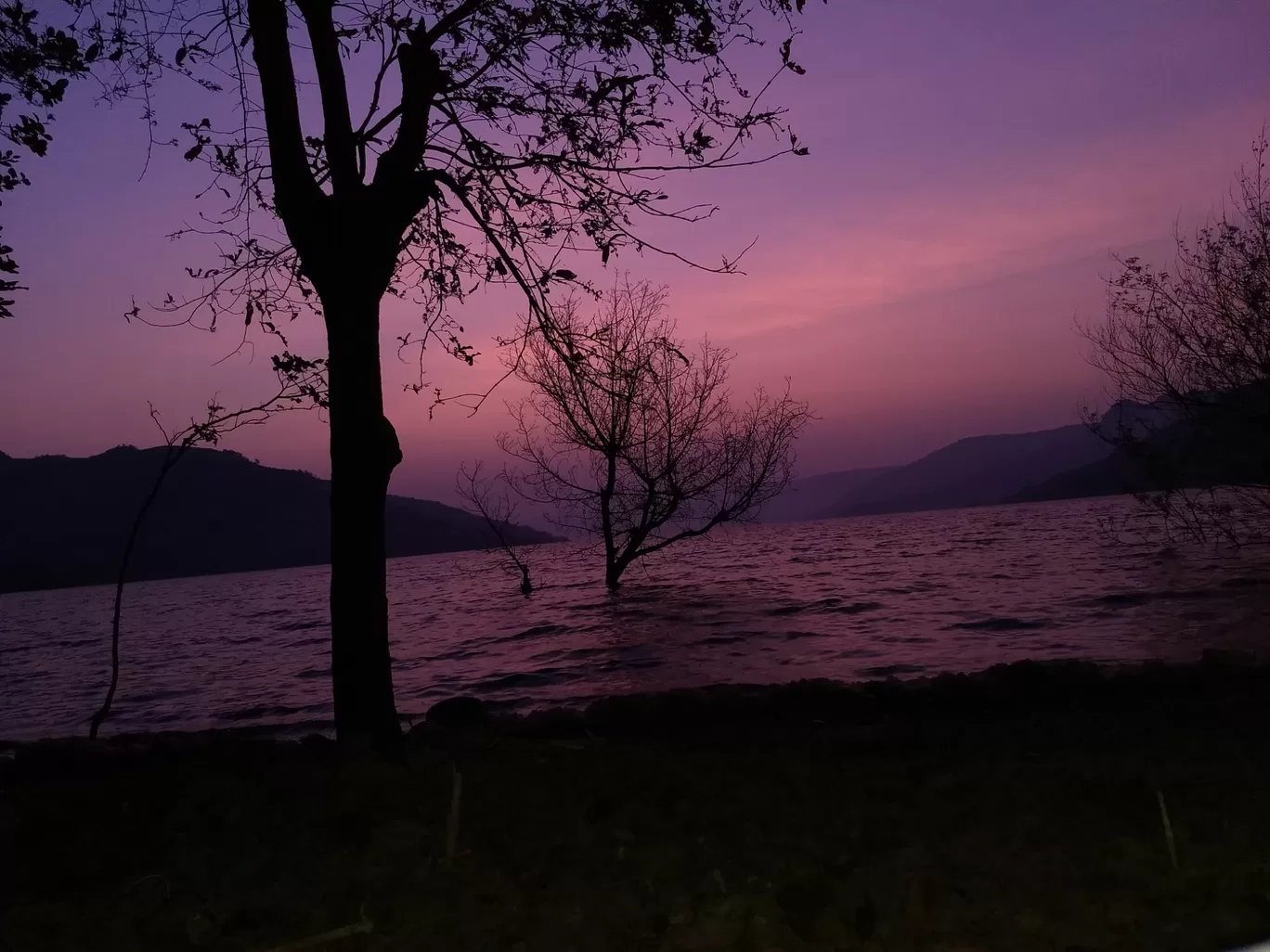 Photo of Shirota Lake Camp By Saurabh Goyal