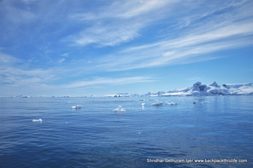 Photo of Antarctica :The Fascinating Universe of Humpback Whales By Shridhar Sethuram Iyer