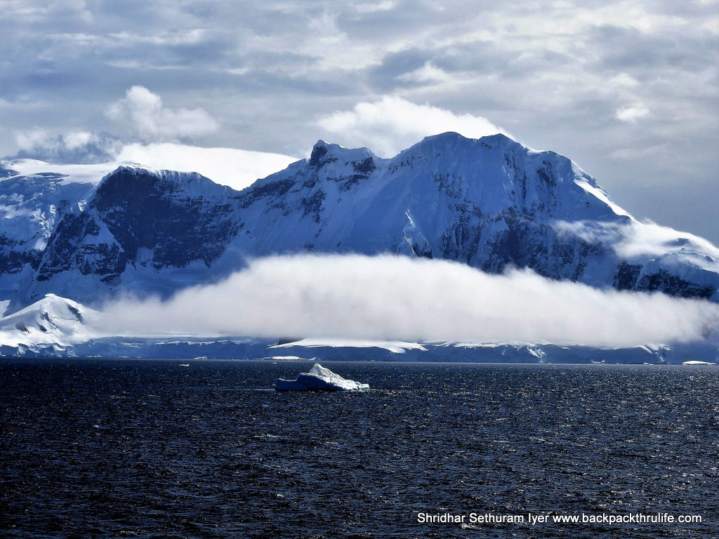 Photo of Antarctica :The Fascinating Universe of Humpback Whales By Shridhar Sethuram Iyer