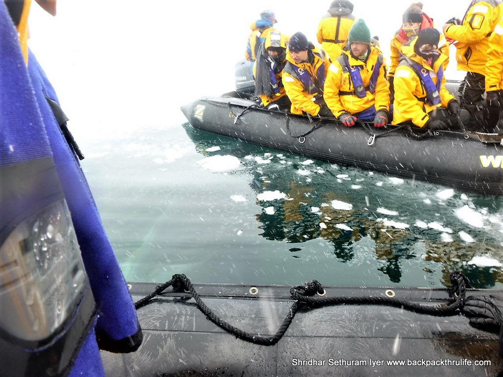Photo of Antarctica :The Fascinating Universe of Humpback Whales By Shridhar Sethuram Iyer