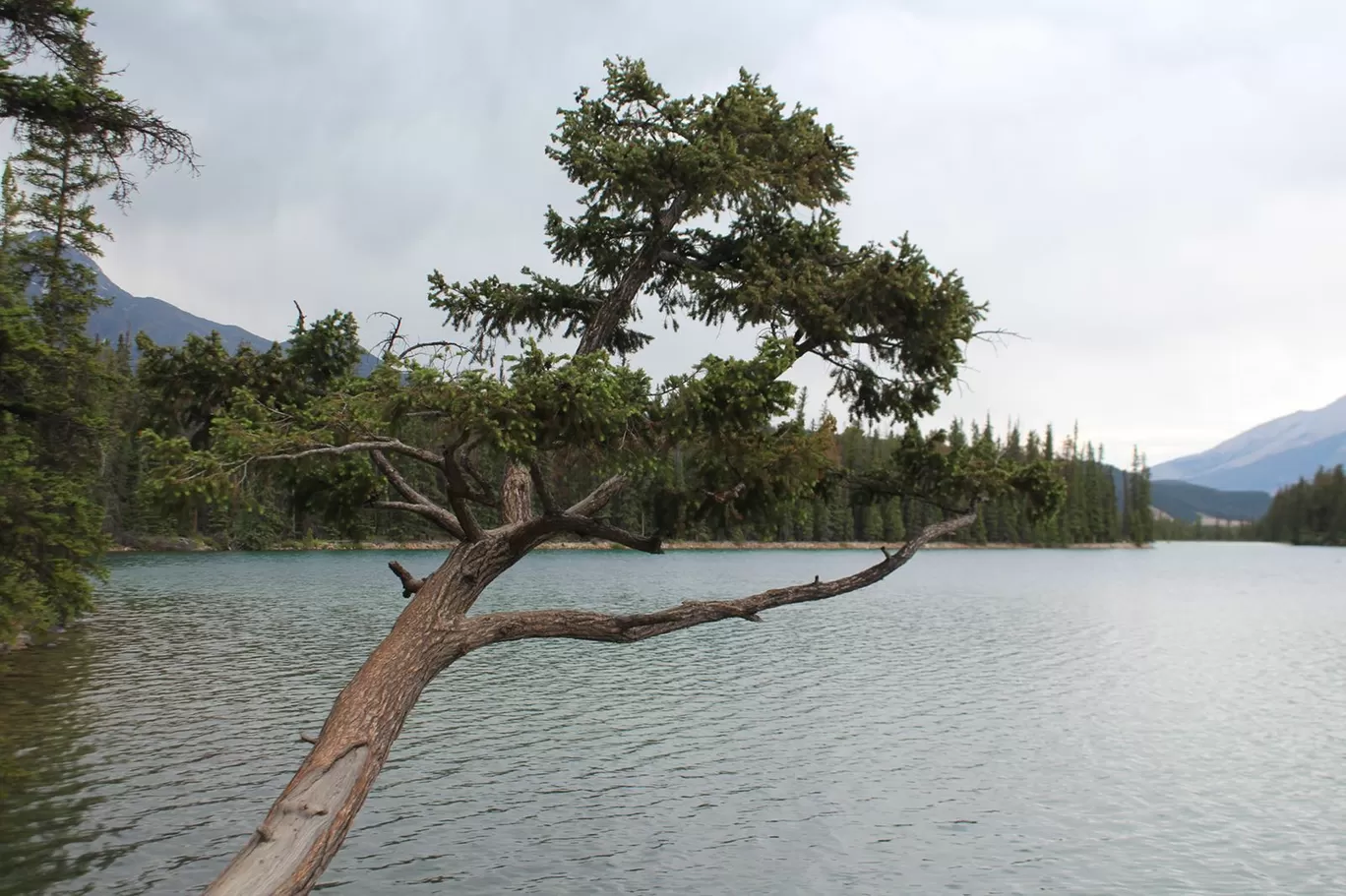 Photo of Saskatoon By Asearcher Solo Traveler ™