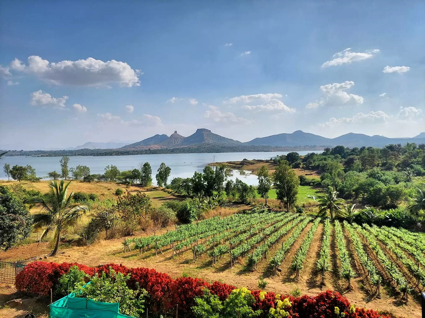 Photo of Vallonne Vineyards Pvt. Ltd. By Supriya Shashikumar
