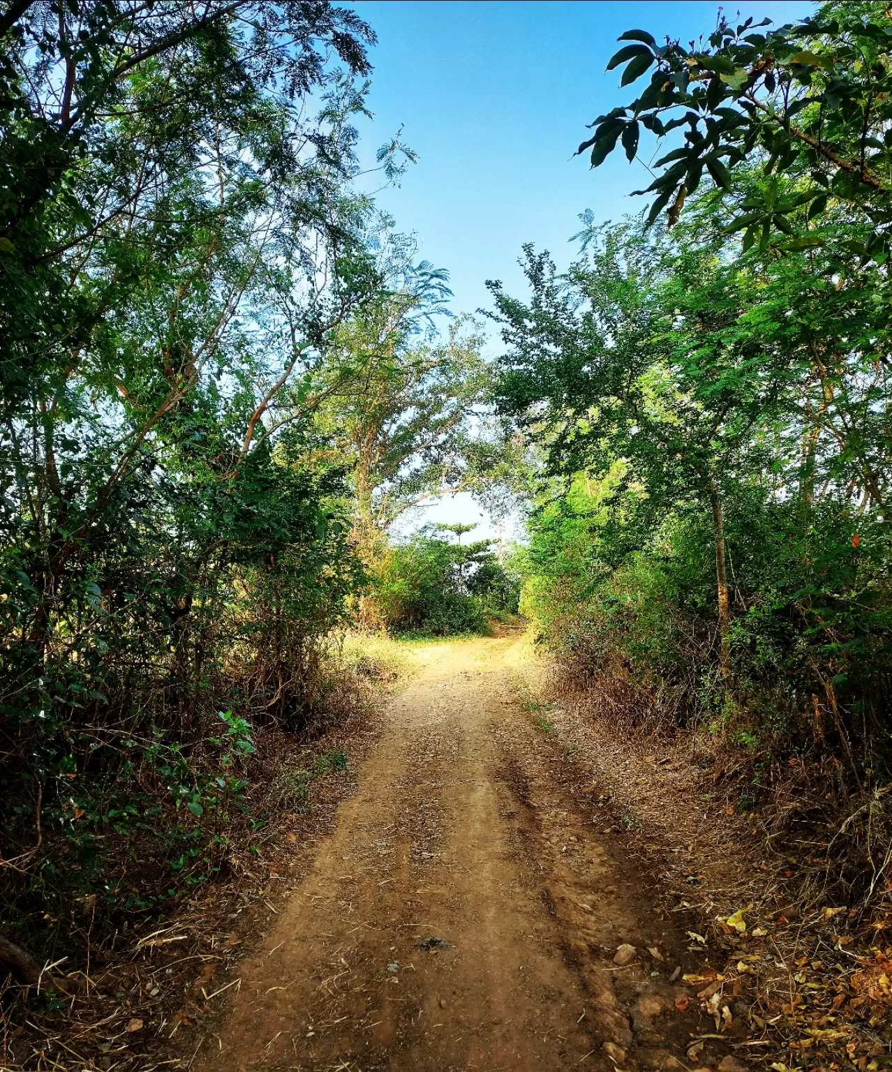 Photo of Vallonne Vineyards Pvt. Ltd. By Supriya Shashikumar