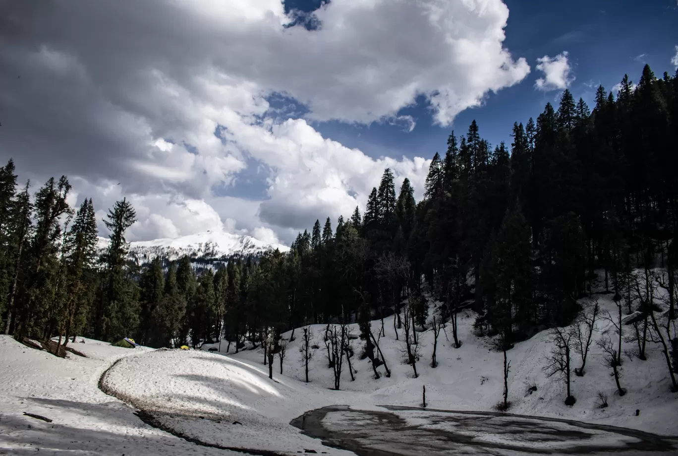 Photo of Kedarkantha Trek By Shiladitya Ghosh