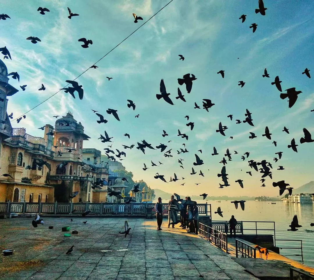 Photo of Udaipur By Prasad - The Enthu Wanderer